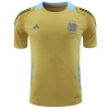 Camiseta de fútbol Argentina Pre-Match 2024 Amarilla - Hombre